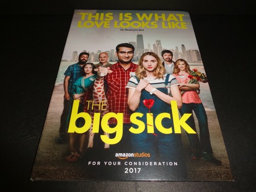The big sick pakistani - the, sick-pakistani